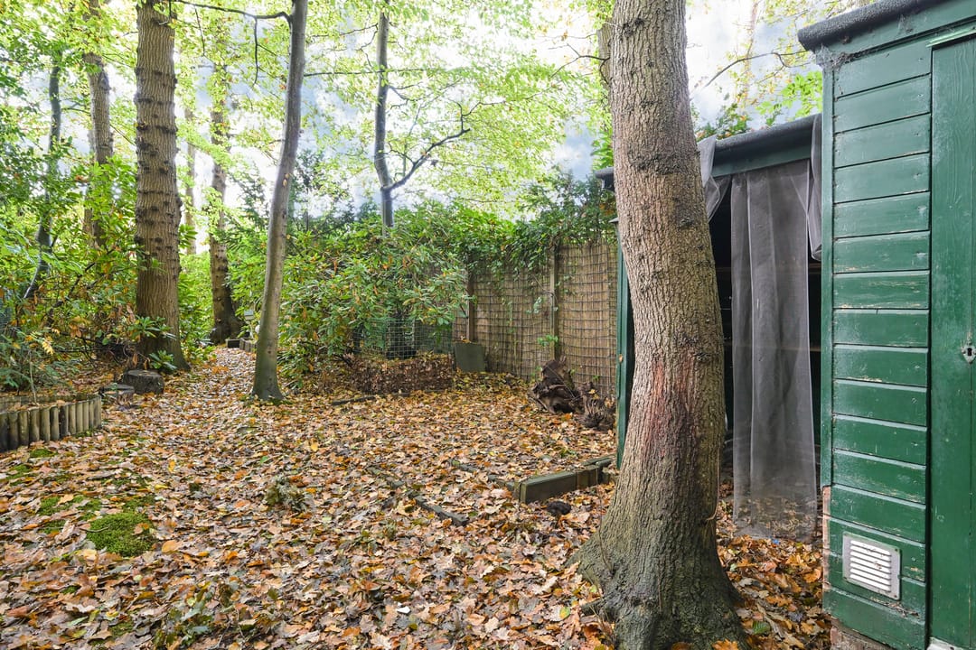 Photo 23 of Het Kerkehout 39