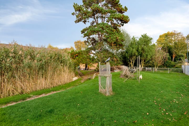 Foto 28 van Wilhelminastraat 19