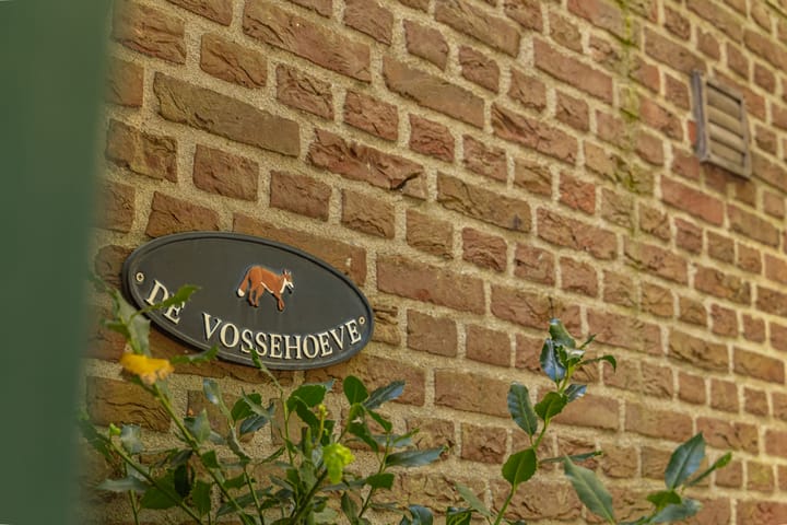 Foto 4 van Vossestraat 4