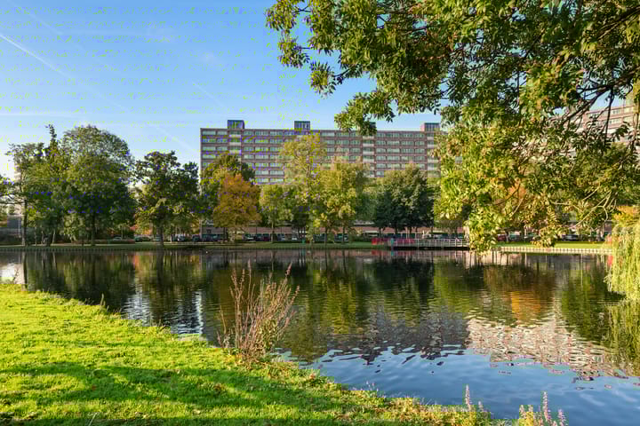 Photo 4 of P C Boutenssingel 113