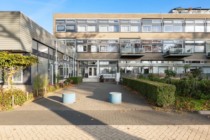 Photo 6 of P C Boutenssingel 113