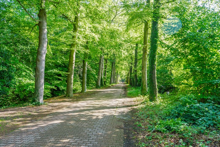 Foto 40 van Arnhemseweg 13