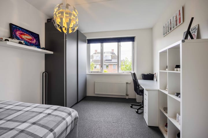 Photo 42 of Ebbenhout 18