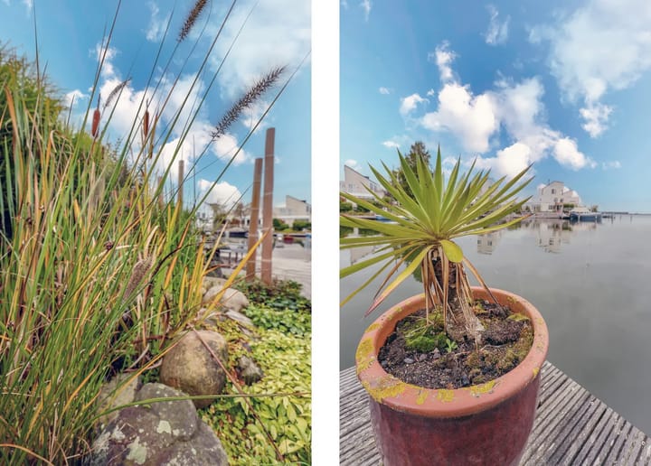 Photo 44 of Loefzijde 13