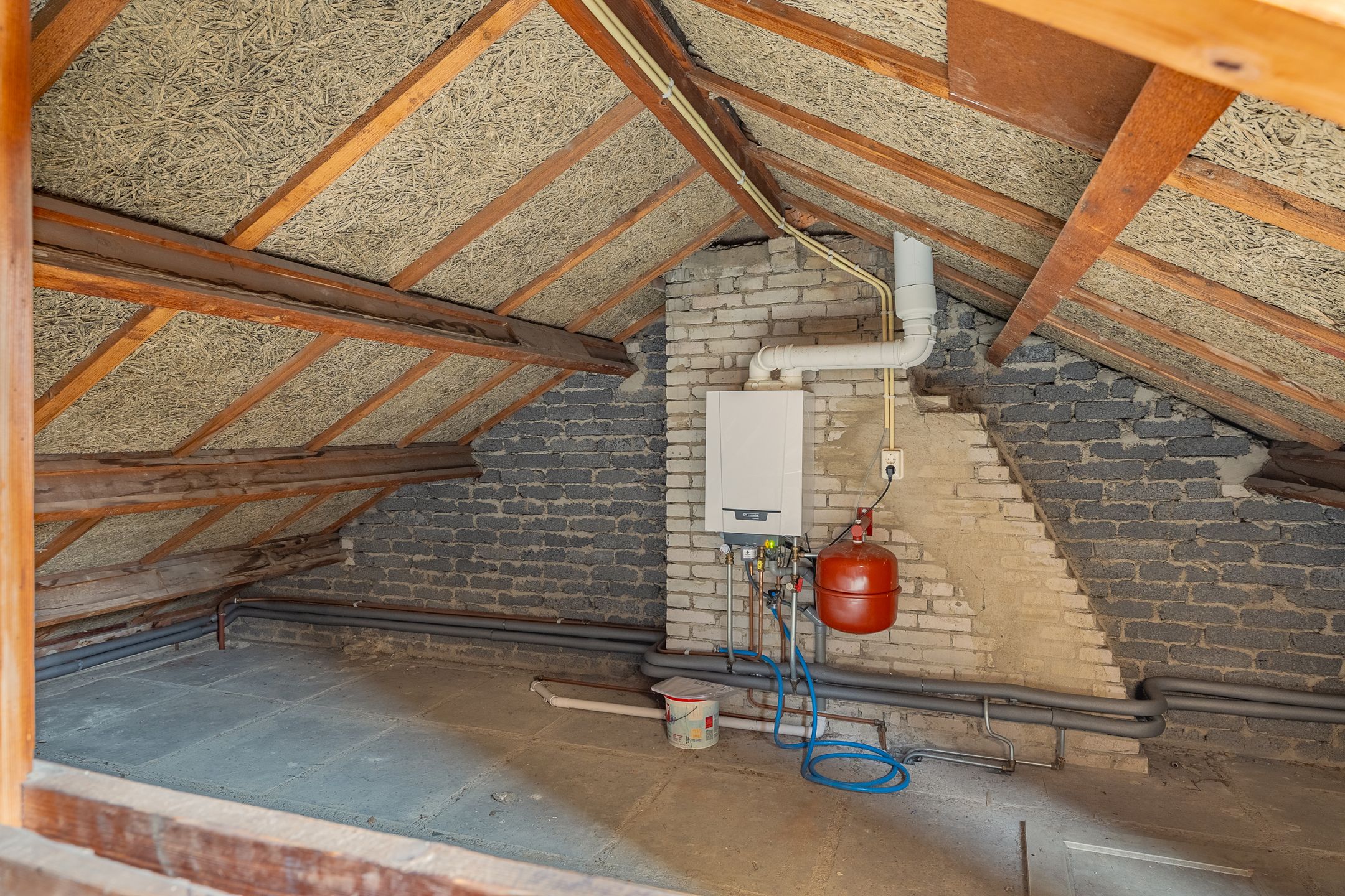 Photo 36 of Ferdinand Bollaan 20