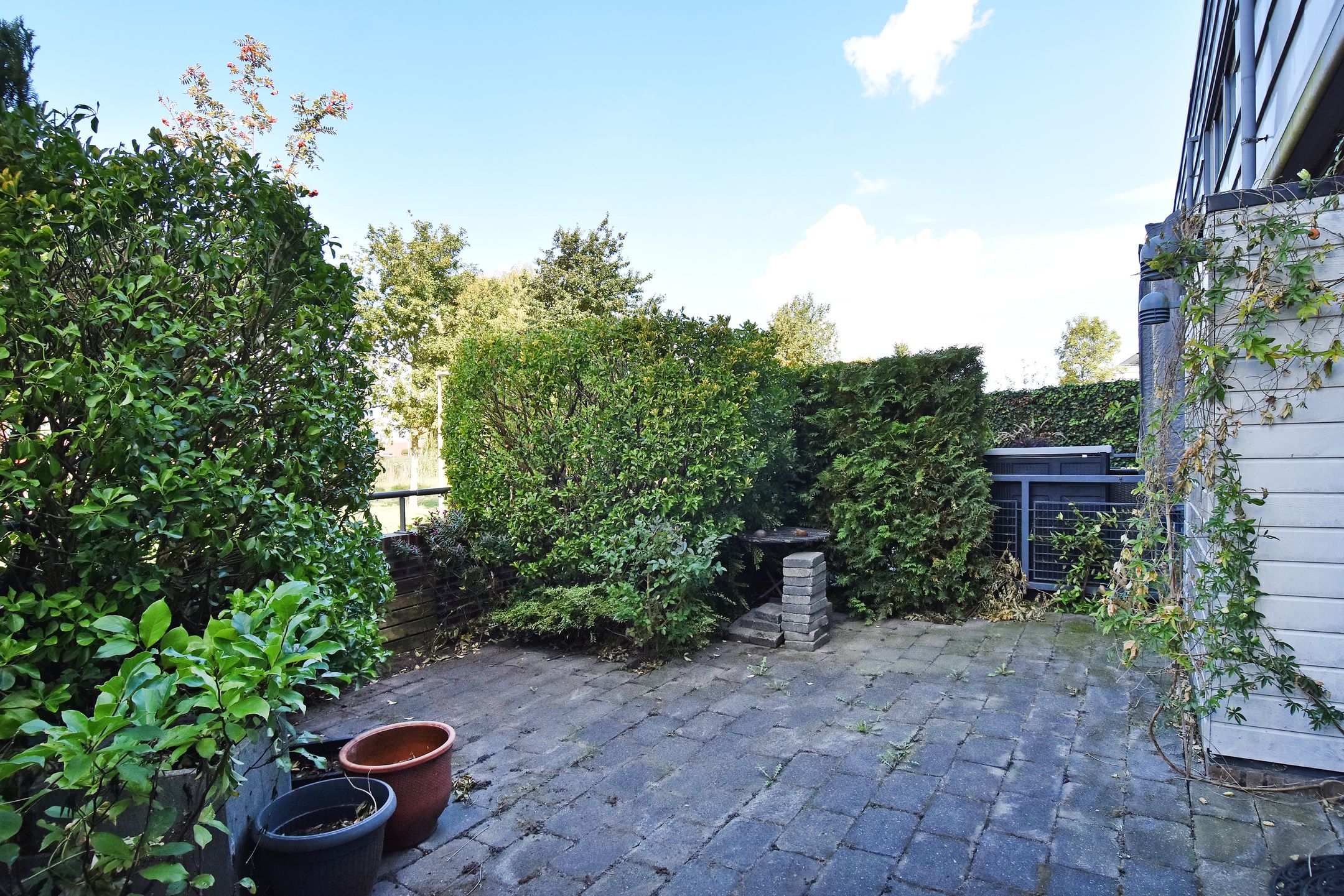 Foto 12 van Vondelstraat 34