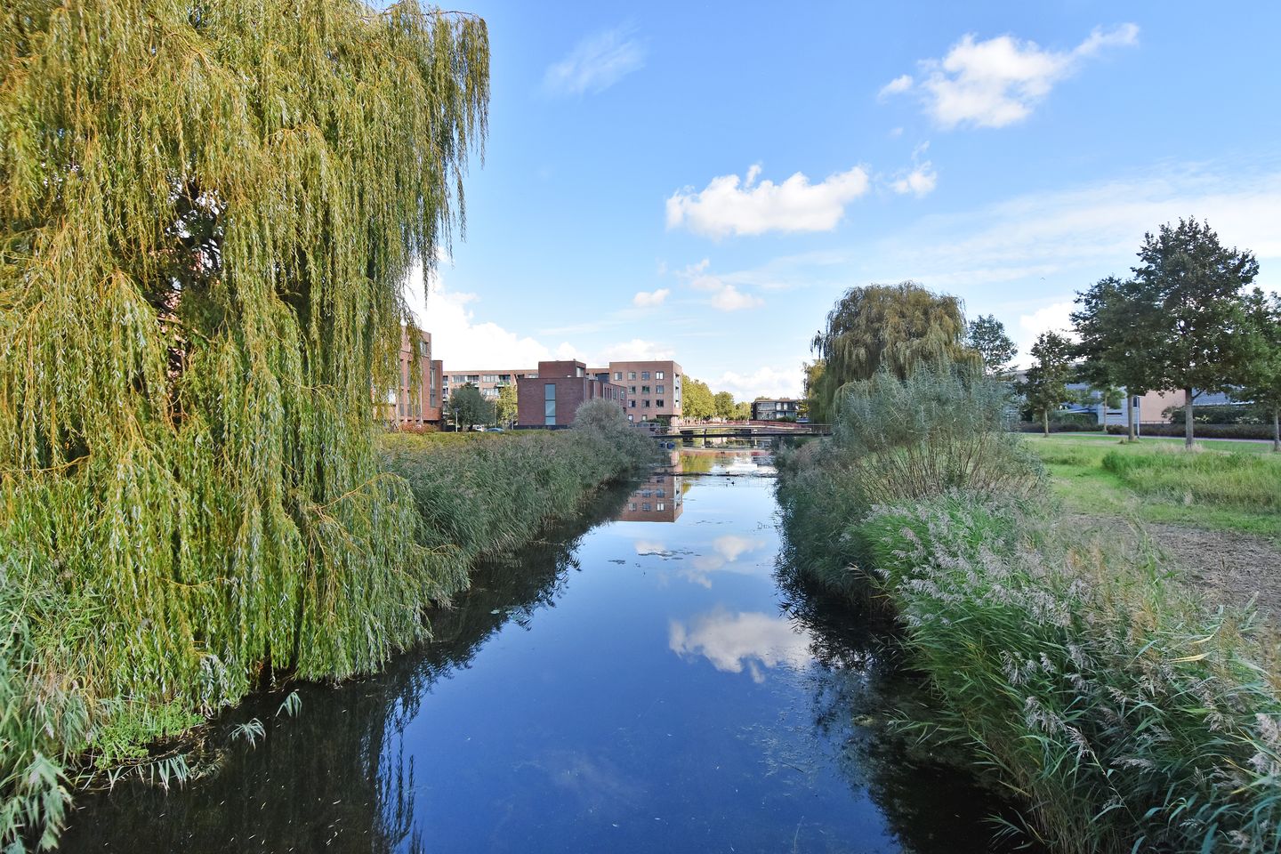 Foto 40 van Vondelstraat 34