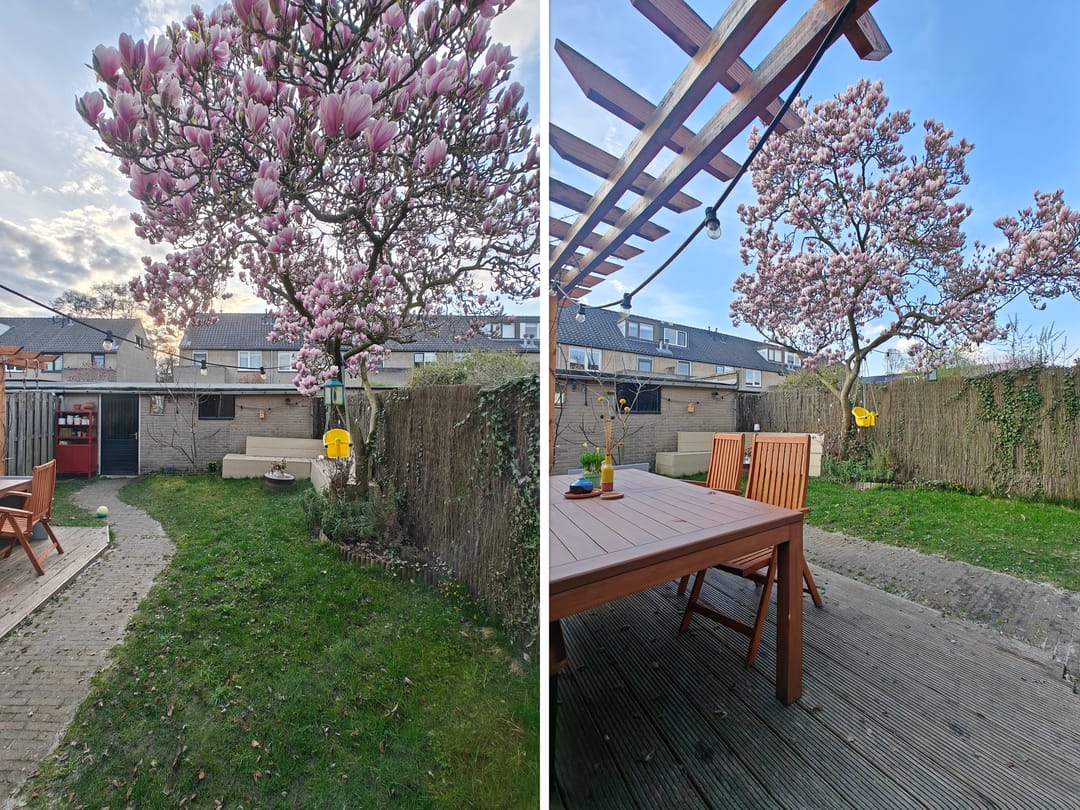 Foto 41 van Lankforst 2118