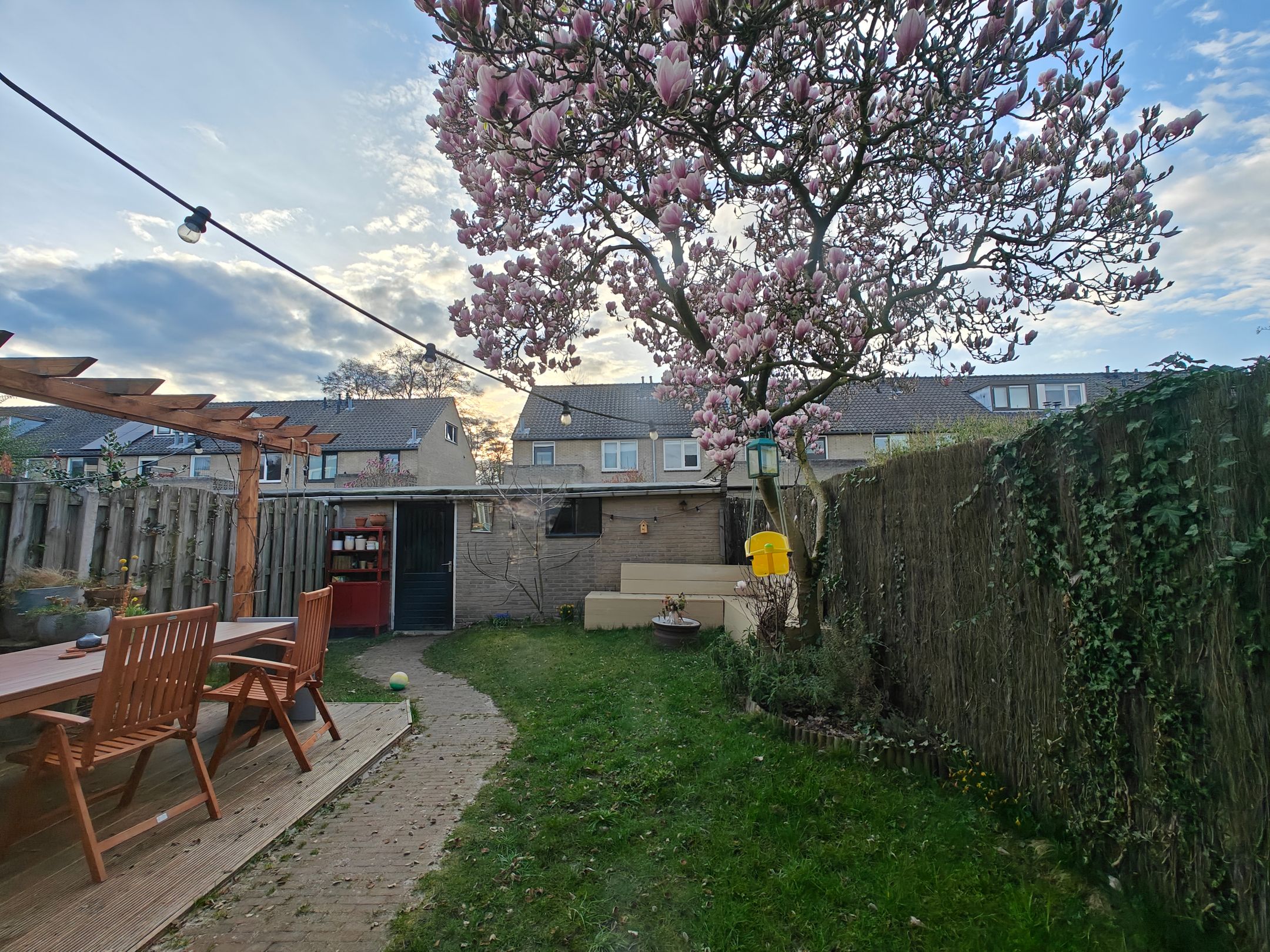 Foto 42 van Lankforst 2118