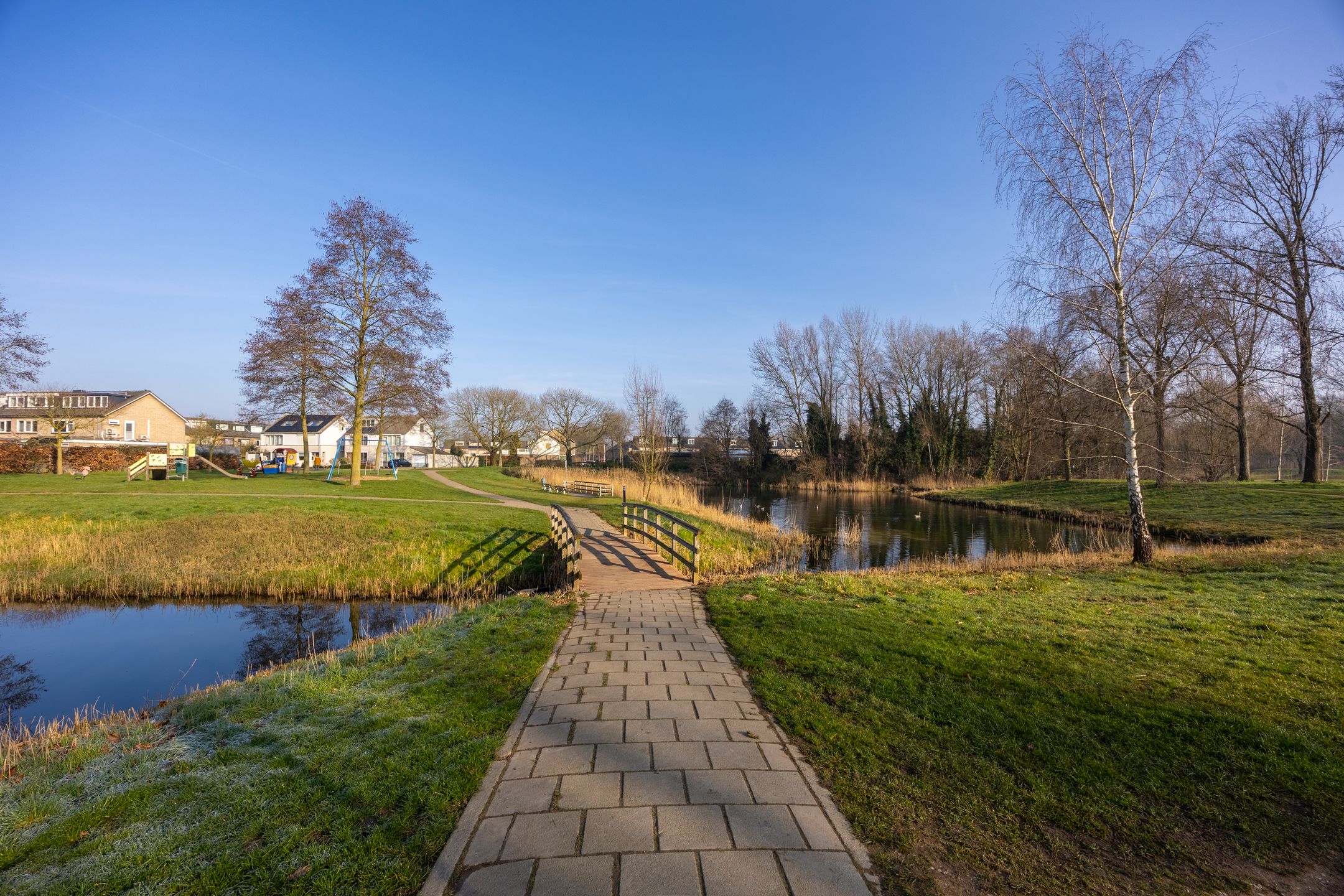 Foto 51 van Lankforst 2118