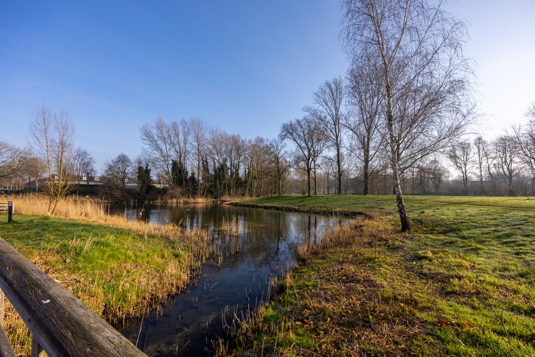 Foto 52 van Lankforst 2118