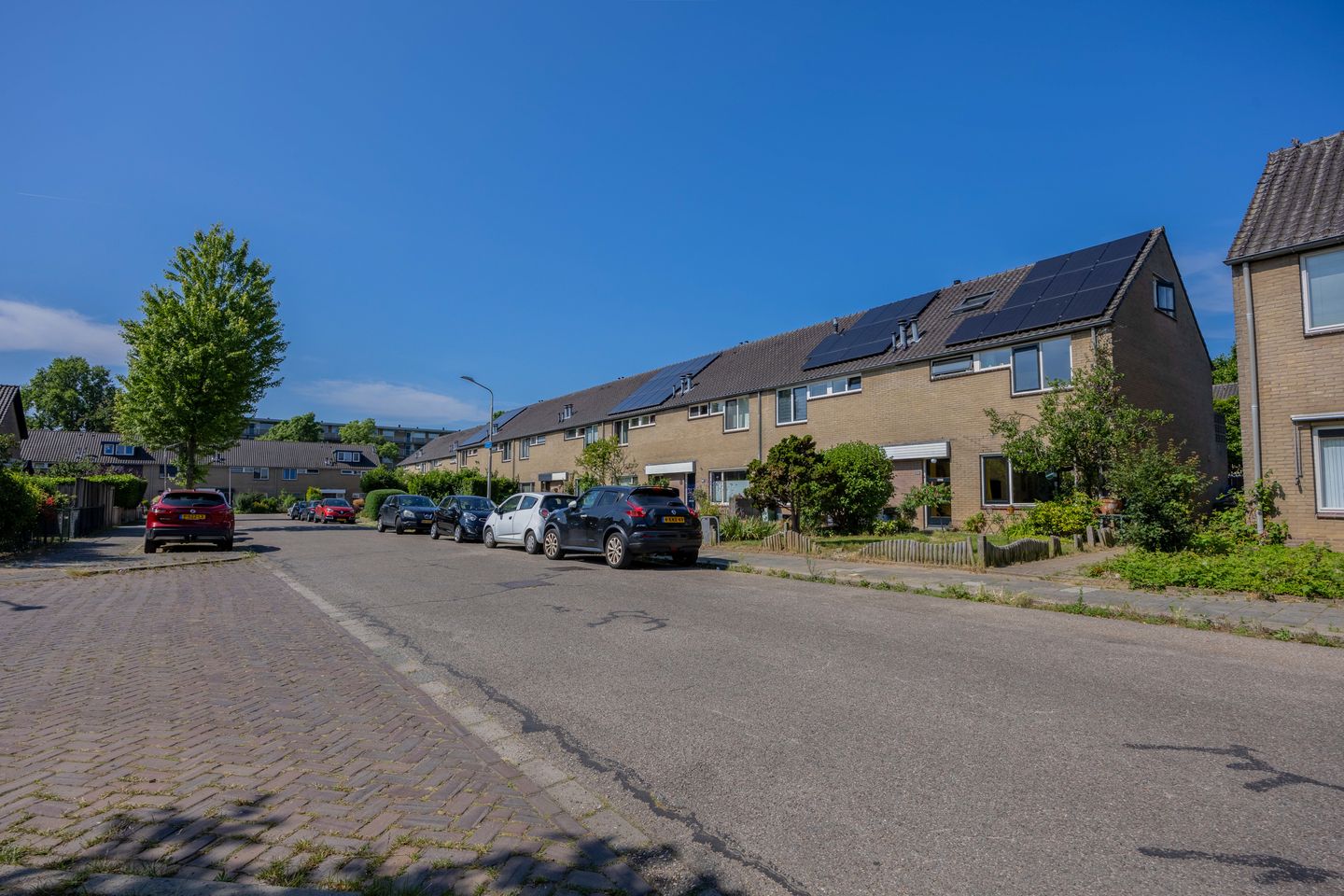 Foto 55 van Lankforst 2118