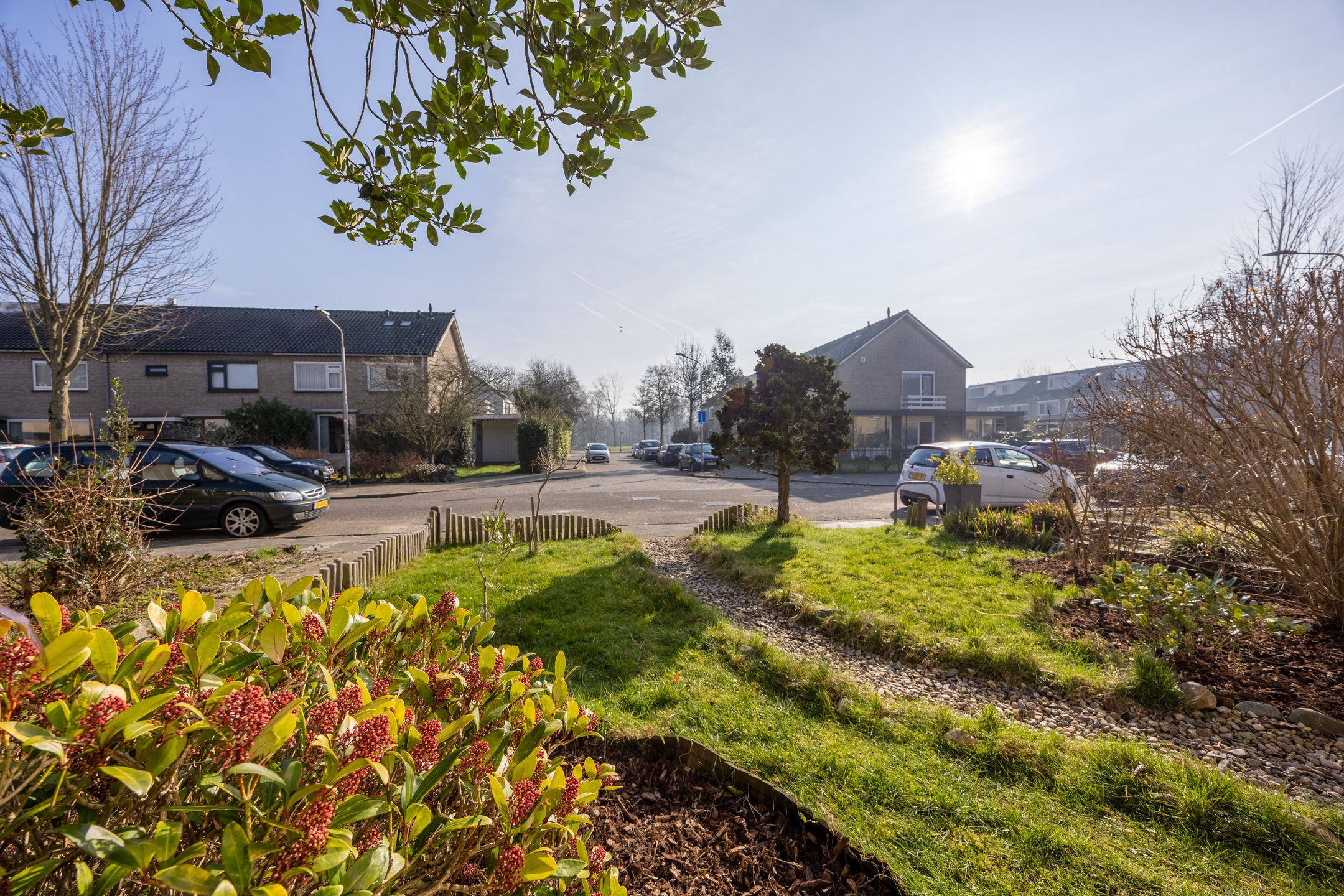 Foto 57 van Lankforst 2118