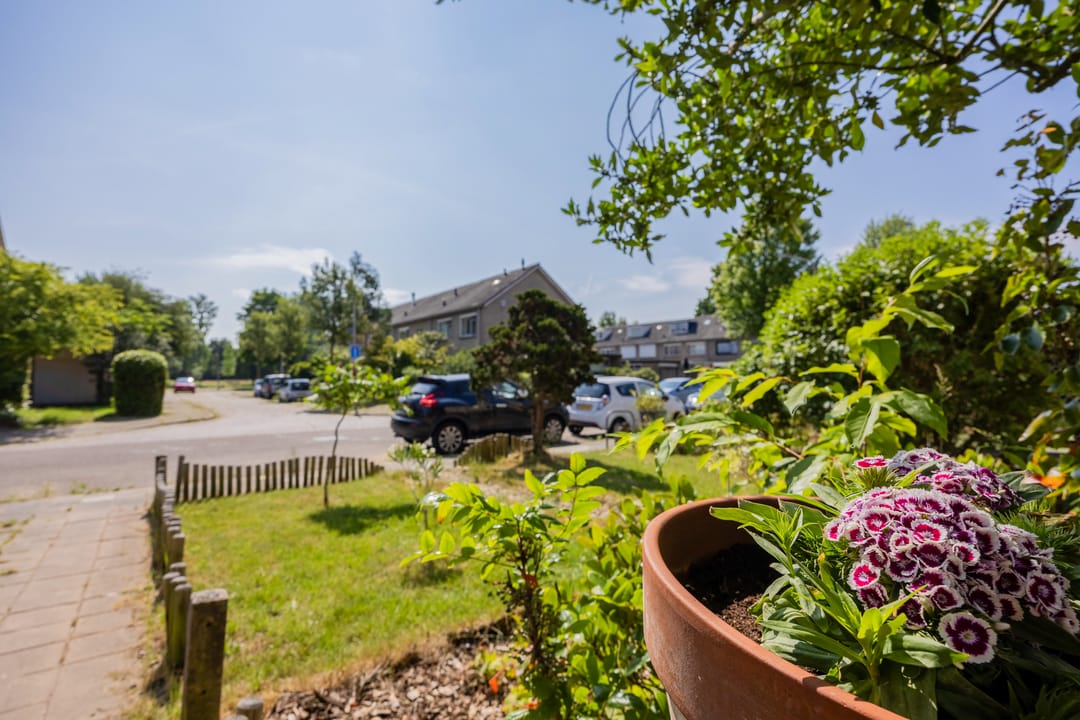 Foto 58 van Lankforst 2118