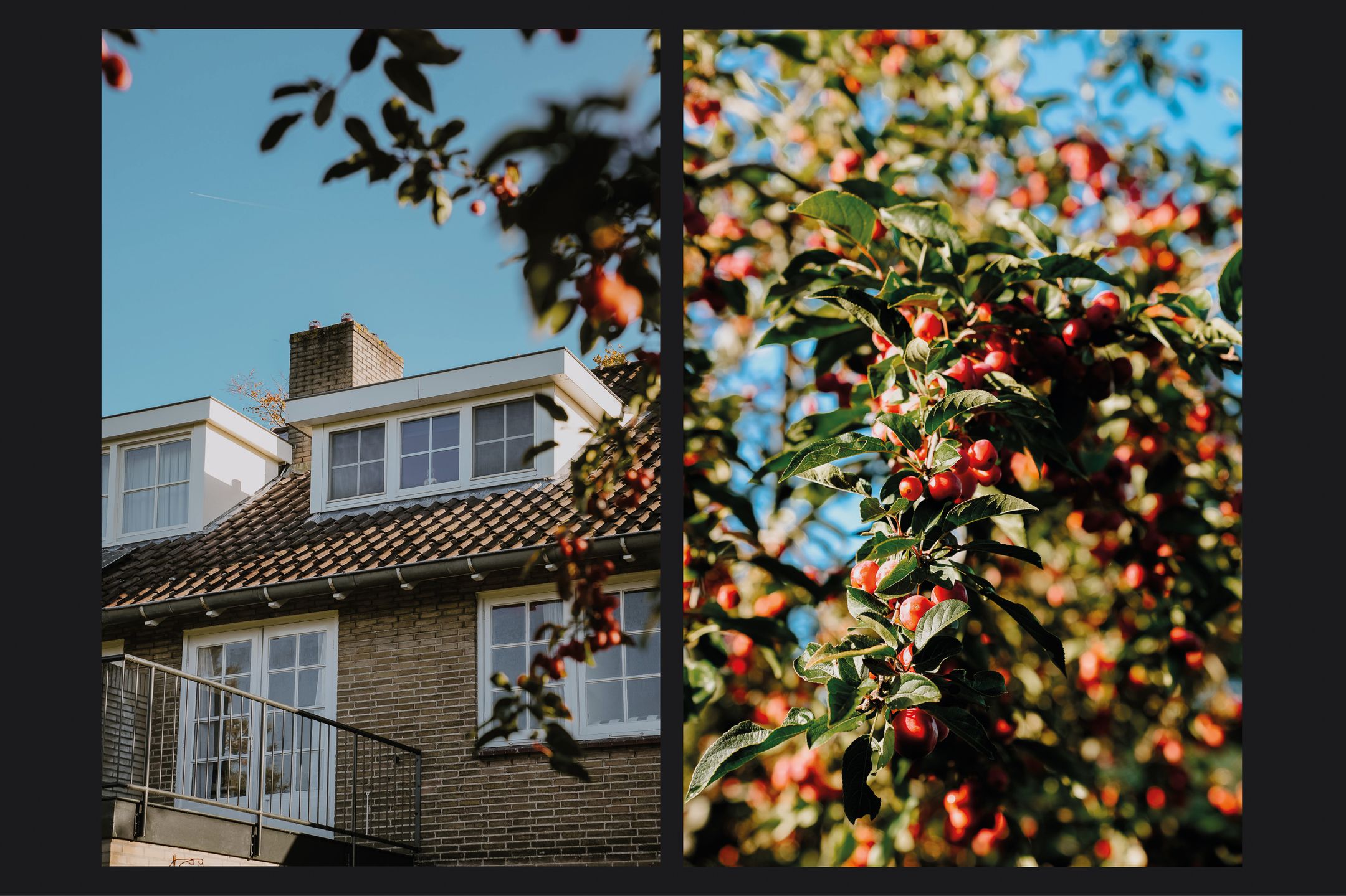 Foto 39 van Juliana van Stolberglaan 26