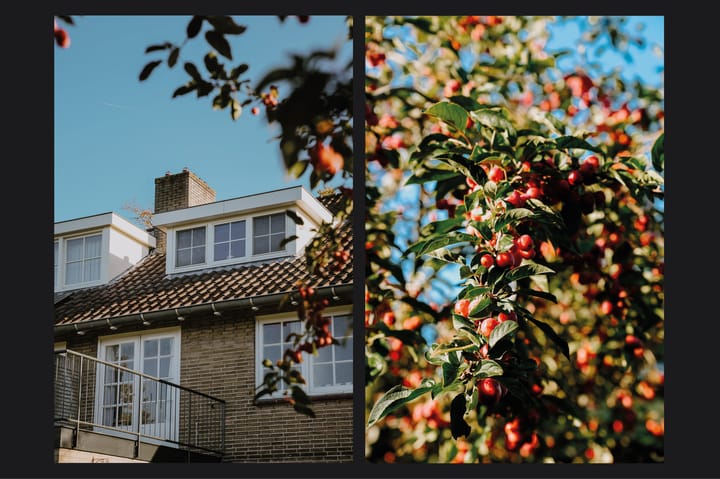 Foto 39 van Juliana van Stolberglaan 26