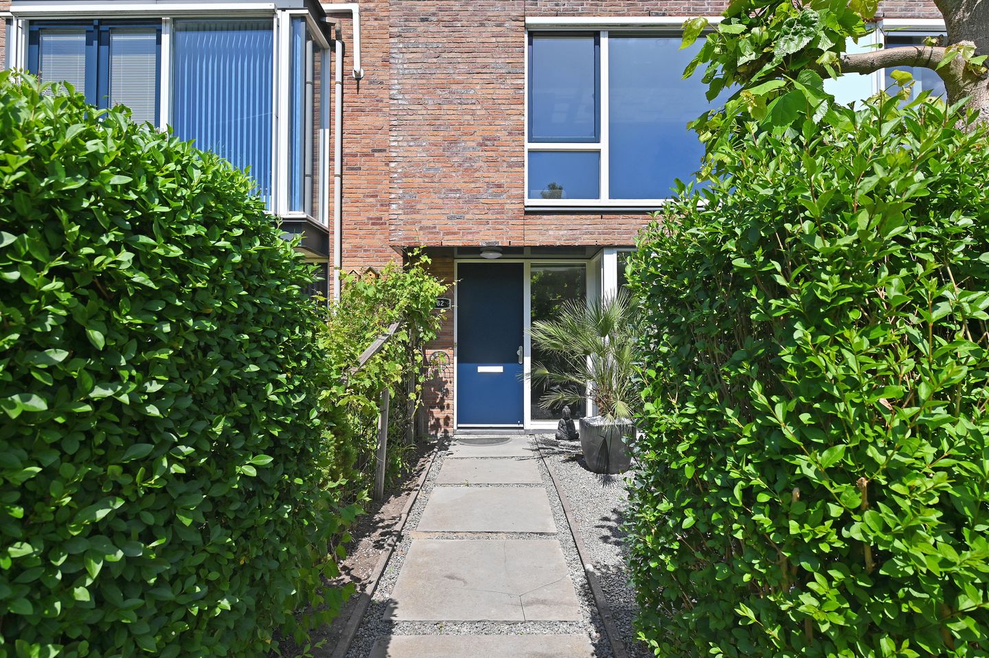 Foto 5 van Hoornplantsoen 62