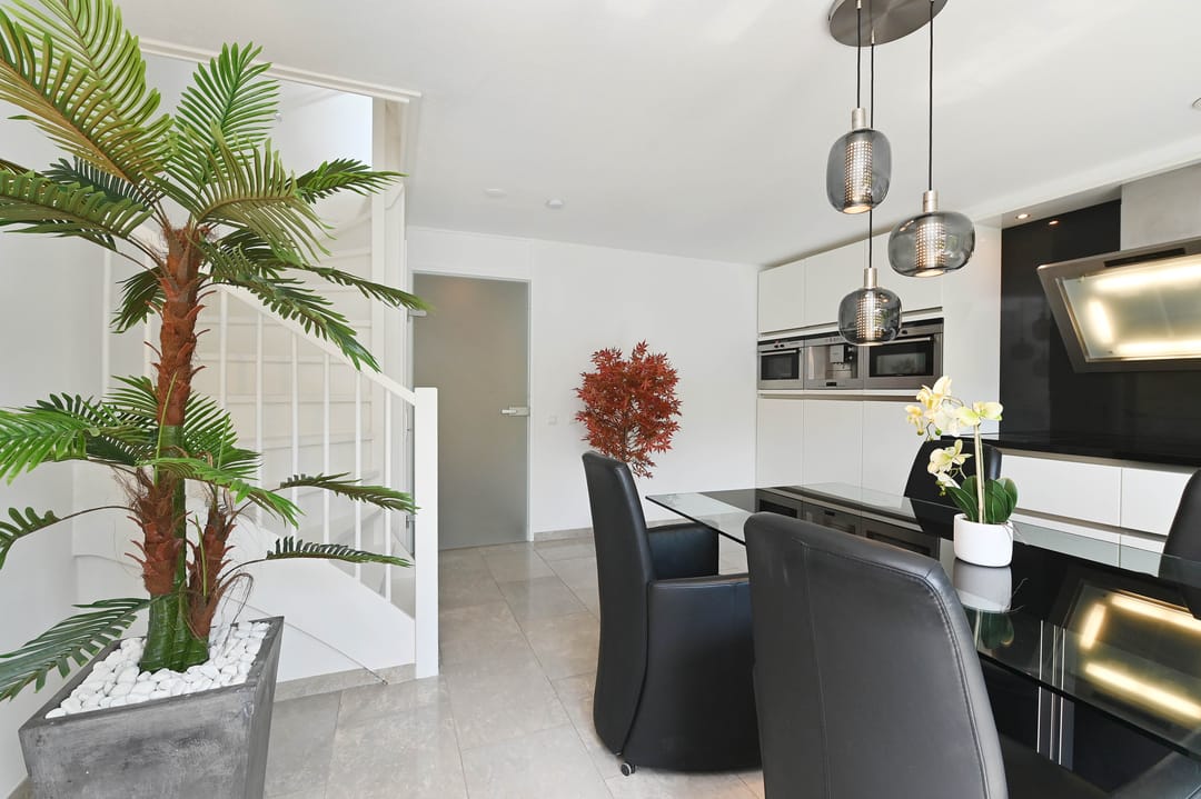 Foto 8 van Hoornplantsoen 62