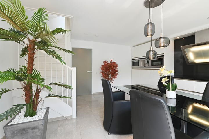 Foto 8 van Hoornplantsoen 62