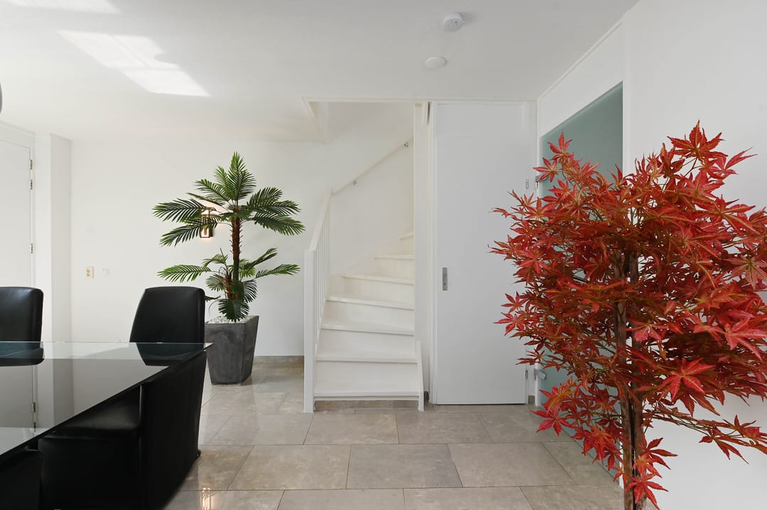 Foto 13 van Hoornplantsoen 62