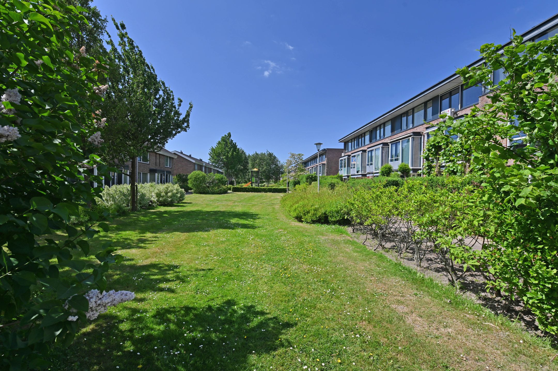 Foto 48 van Hoornplantsoen 62