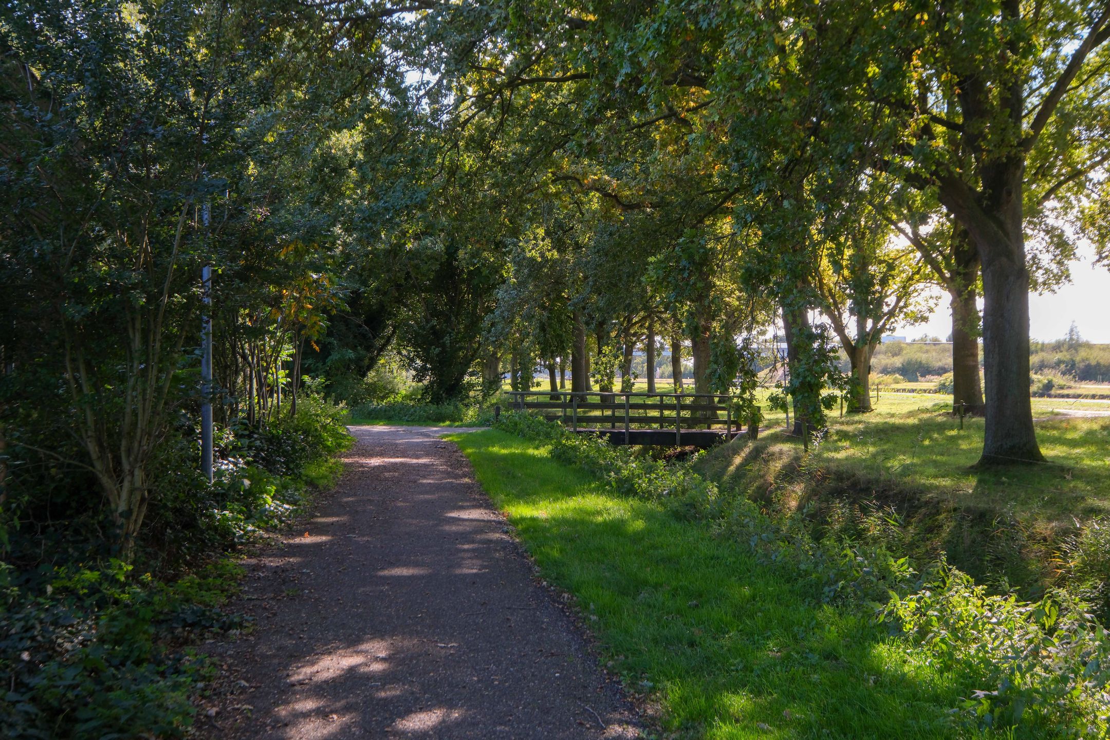 Foto 42 van De Jager 14