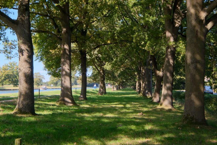 Photo 44 of De Jager 14