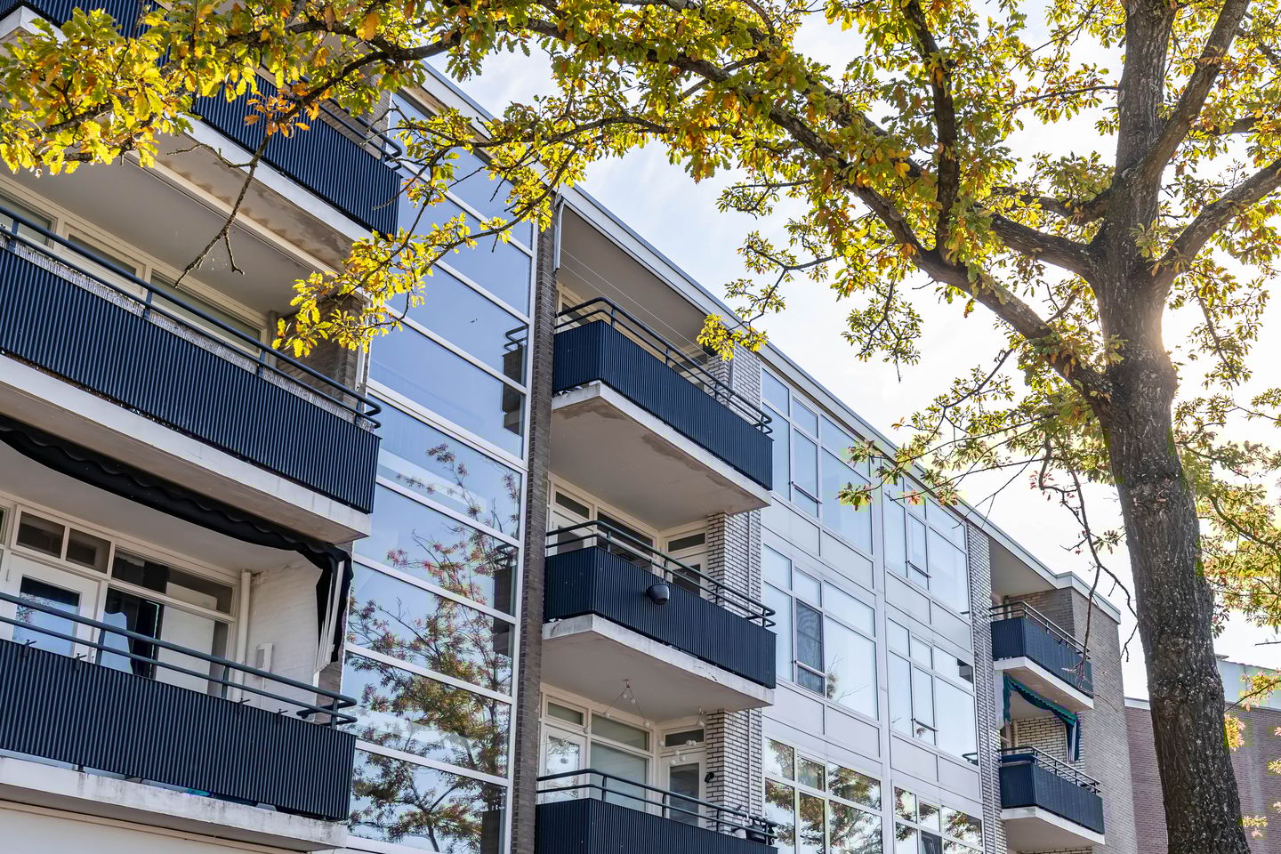 Foto 4 van Paterswoldseweg 318