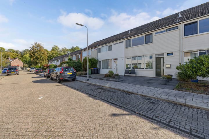 Photo 10 of Bosrand 52