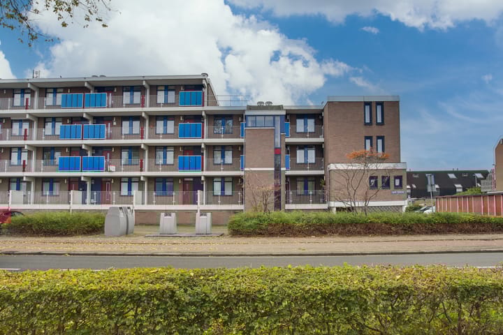 Foto 4 van Hannie Schaftrode 40