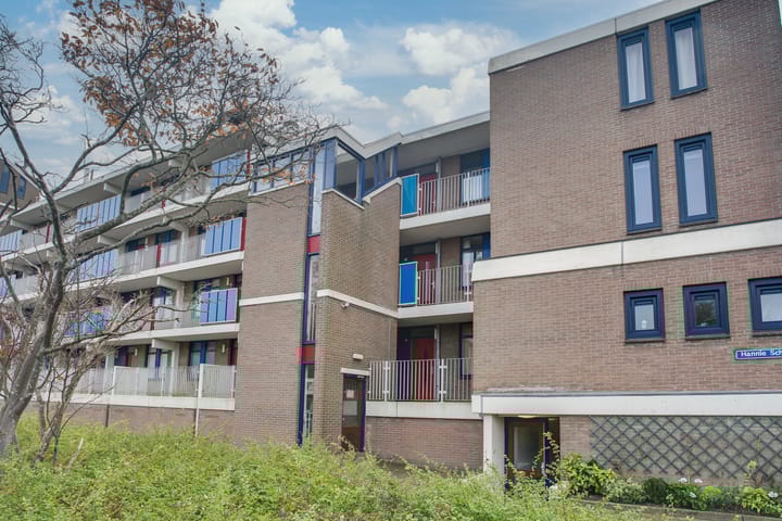 Foto 5 van Hannie Schaftrode 40