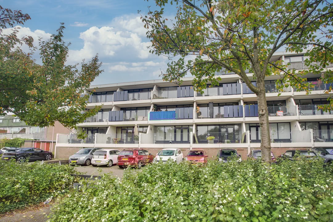 Foto 32 van Hannie Schaftrode 40