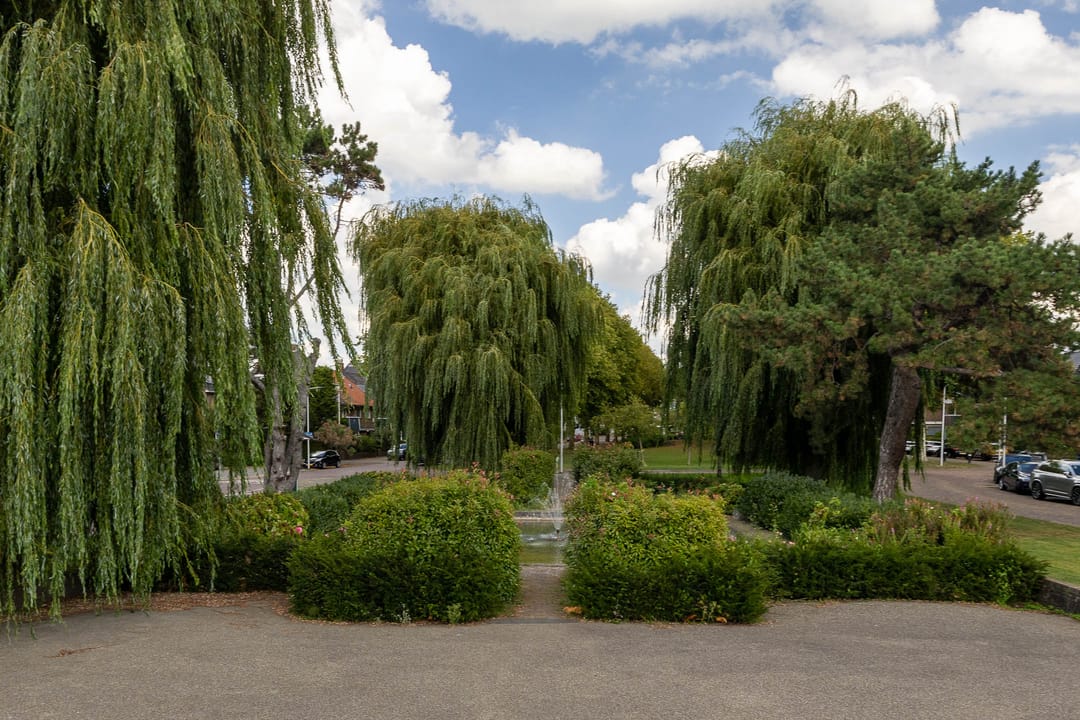 Foto 31 van Conradstraat 17