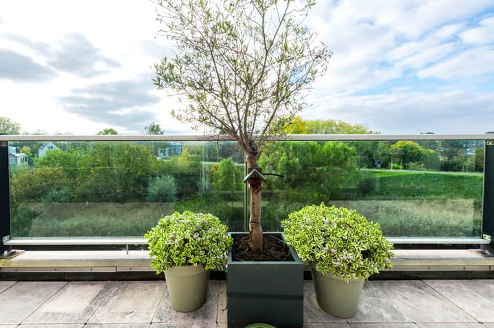 Foto 31 van Van Leeuwenhoekstraat 48