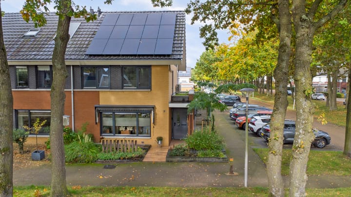 Foto 4 van Citroenvlinder 118