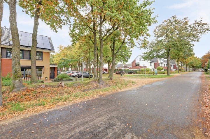 Foto 34 van Citroenvlinder 118