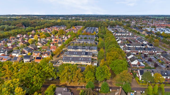 Foto 35 van Citroenvlinder 118