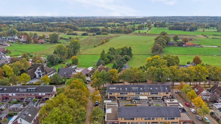 Foto 36 van Citroenvlinder 118