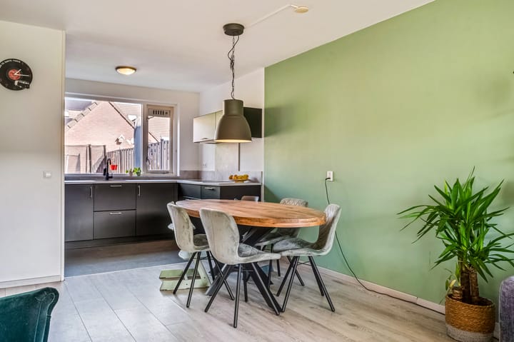 Foto 10 van Goudvink 22