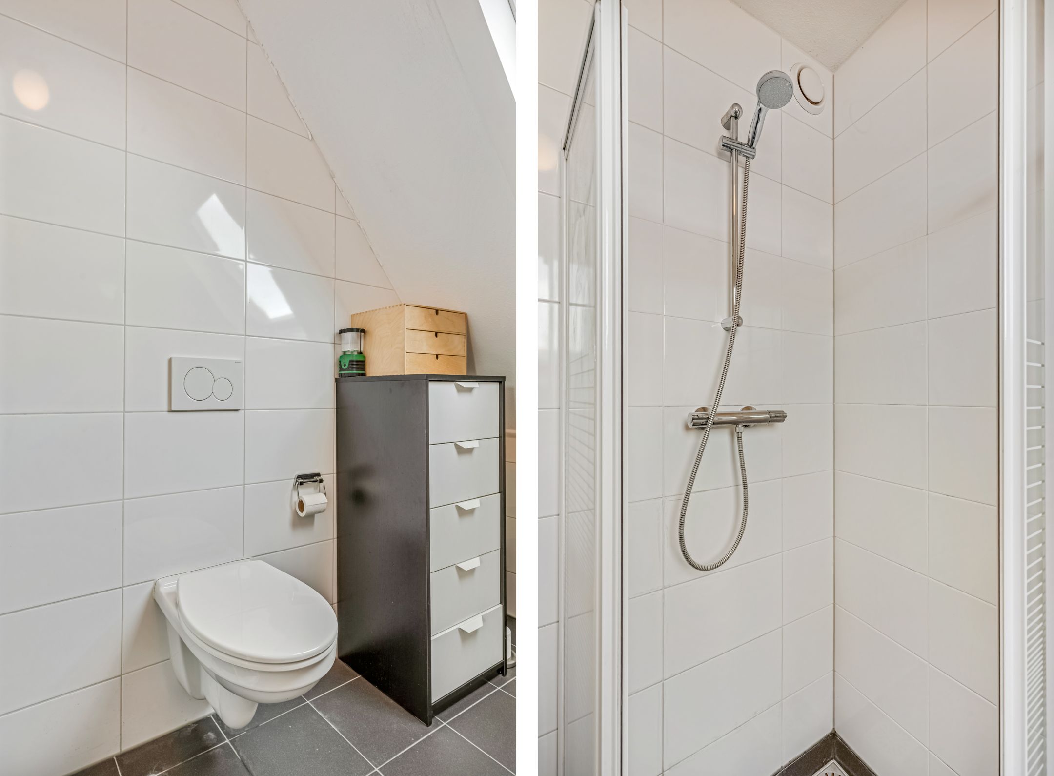 Foto 24 van Goudvink 22