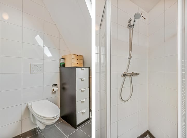 Foto 24 van Goudvink 22