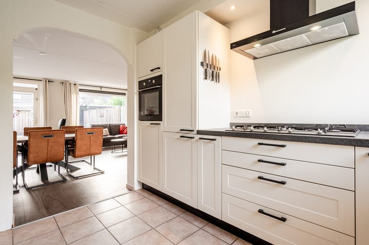 Foto 12 van Orion 45