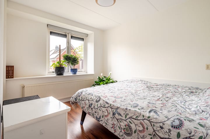 Foto 16 van Orion 45