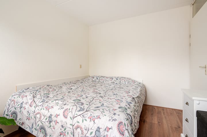 Foto 17 van Orion 45