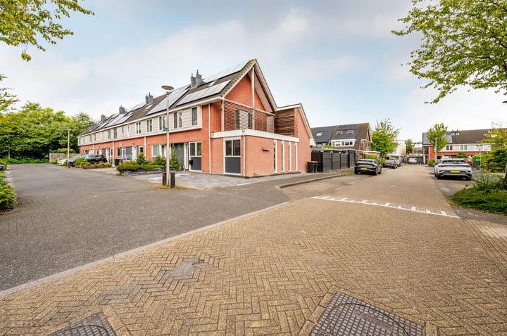 Foto 30 van Orion 45