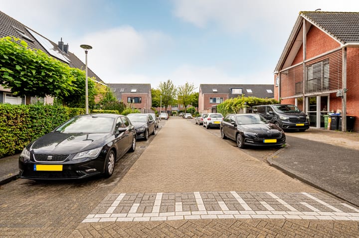 Foto 31 van Orion 45