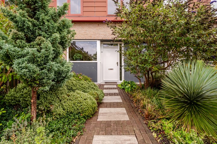 Foto 32 van Orion 45