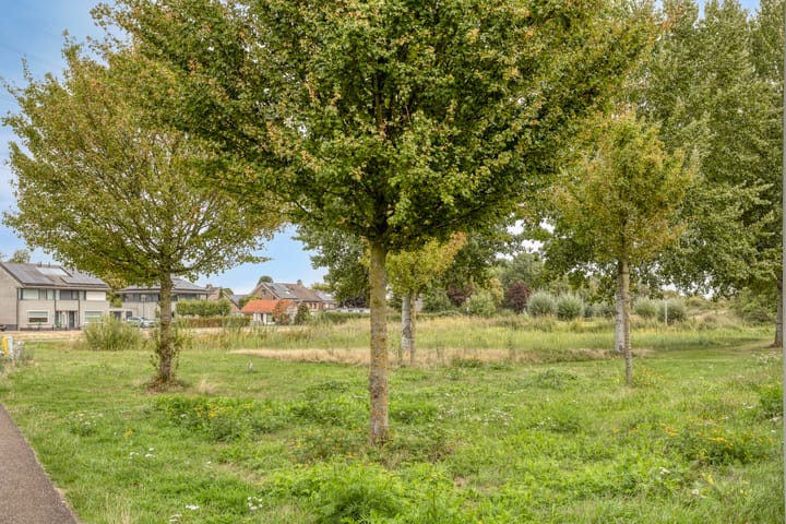 Foto 29 van Haaghout 17