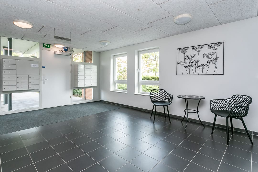 Foto 22 van Folkloriada 3