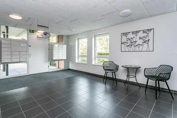 Foto 22 van Folkloriada 3